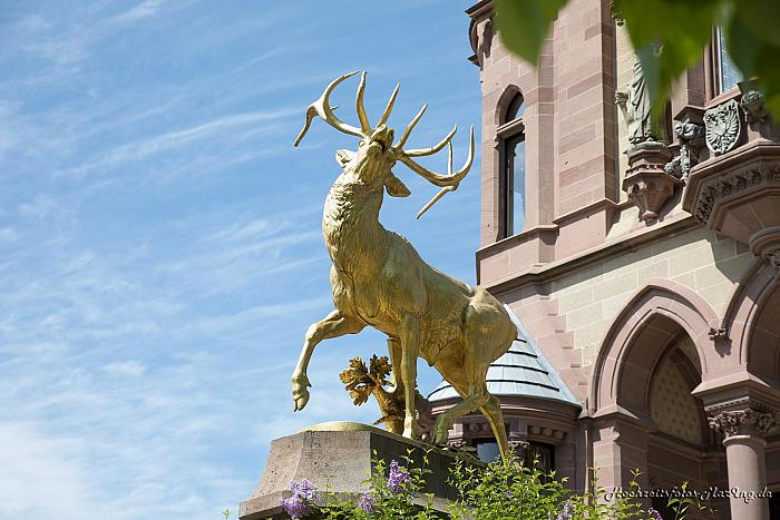 Hochzeit in der Drachenburg
