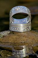 ringe-im-wasser1